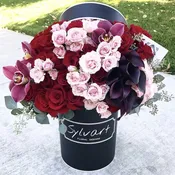 SFD Signature Collection-Cupid Box