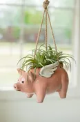Flying Pig Planter