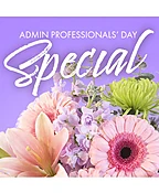 BEAUTIFUL ADMIN SPECIAL