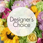 Designer's Choice
