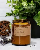 Standard Candle