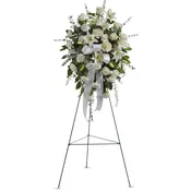 Sentiments of Serenity Spray