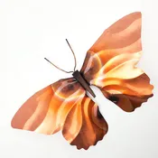 Butterfly Wall Art