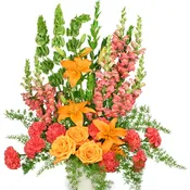 Splendor Everlasting