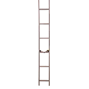 20' Mini Ladder