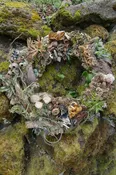 Woodland Wreaths: Tuesday September 29th, 2026 from 6-9PM — Your Site Title