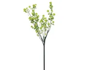 108" Snowball Viburnum