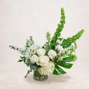 White Garden- Deluxe