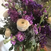 Lavender Dream