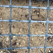 Geogrid