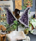 Large Amethyst Wings