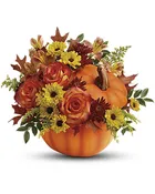 Autumn Wishes