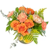 Citrus Orange Standard