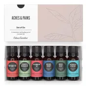 Aches & Pains Essential Oil 6 Set