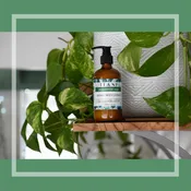 Body Lotion: Peppermint Sage - Tiani Body Care
