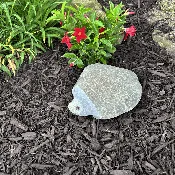 10″ Boulder Turtle