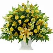 Classic Yellow