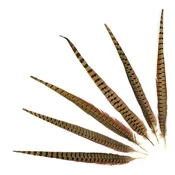 10 PC/PKG  RINGNECK PHEASANT TAILS 18-20" - NATURAL