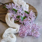 34" Pink Sandpaper Vine Hanging Bush
