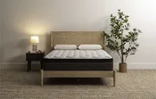 Sleepworld Express 12.5" Innerspring Euro Top Mattress