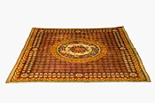 19th c. French Savonnerie room size carpet