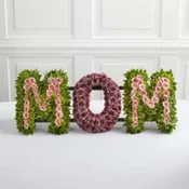 Remembering MOM