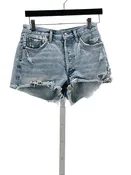 AgoldE Size 25 Blue Shorts