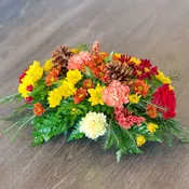 Autumn Splendor