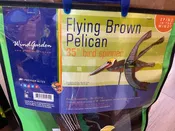 35” Flying Brown Pelican