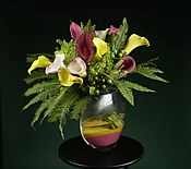 Callas Sunrise