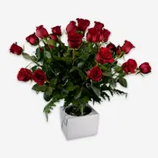 Jetwrap Large Rosevase Box #611