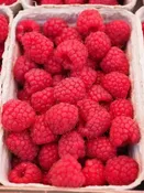 Boyne Raspberry