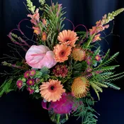 Peach Pink Australian Botanical with Hearts 2