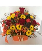ALL SEASON GARDEN IN VARIOUS COLORS