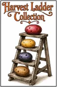 Organic Harvest Ladder Collection