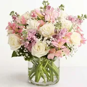 Loving Sentiments Pink & White