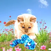 Coastal Pet Turbo Creature Cat Toy