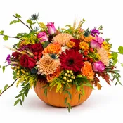 Rustic Autumn Harvest Pumpkin