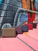 Alessia Wallets Assorted Colors