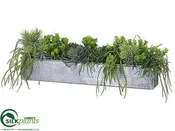Silk Plants Direct Aeonium, Cactus Arrangement - Green - Pack of 1