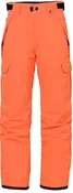 686 Boys Infinity Cargo Insulated Pant 2024