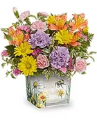 Sunshine & Petal Whispers