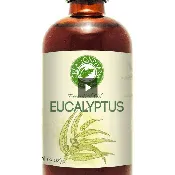 100 Percent Pure Eucalyptus Essential Oil Eucalyptus Globulus 118 Milliliters Steam Distilled Therapeutic Grade