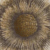 Abyss Habidecor Magnolia Bath Rug - Sand (714)