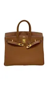 2025 Hermes Togo Birkin 25
