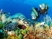 Cozumel Trip 2018