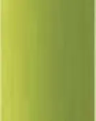 Bass Green Metallic Lifetone Paint