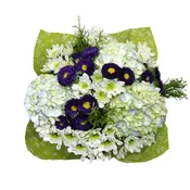 A Breeze of Love Christmas 15 stems