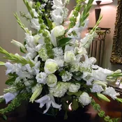 Fond memories in white
