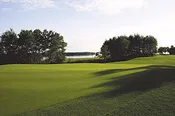 PC 2.0 Creeping Bentgrass